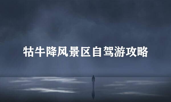 牯牛降风景区自驾游攻略