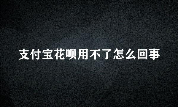 支付宝花呗用不了怎么回事