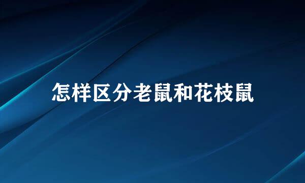 怎样区分老鼠和花枝鼠