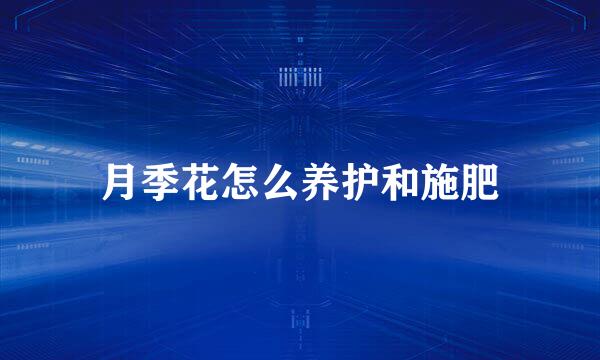 月季花怎么养护和施肥