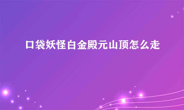口袋妖怪白金殿元山顶怎么走