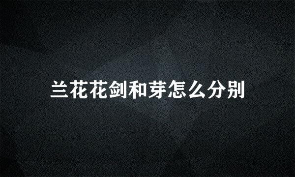 兰花花剑和芽怎么分别
