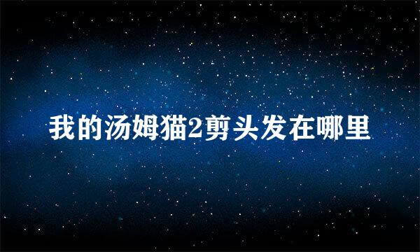 我的汤姆猫2剪头发在哪里