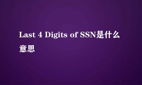 Last 4 Digits of SSN是什么意思