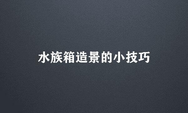 水族箱造景的小技巧