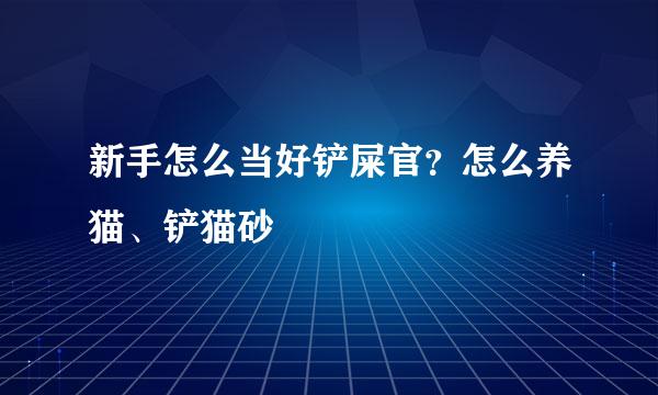 新手怎么当好铲屎官？怎么养猫、铲猫砂