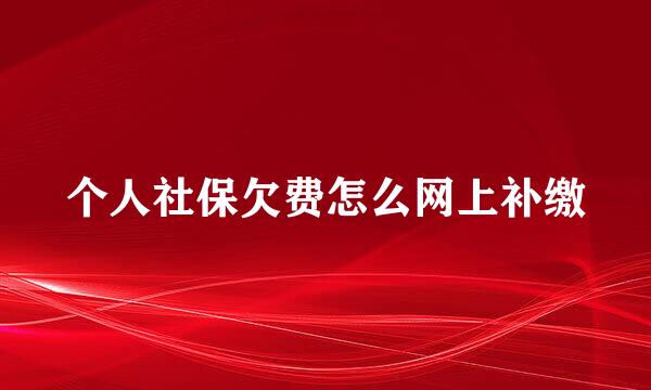 个人社保欠费怎么网上补缴