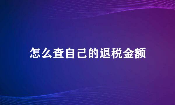 怎么查自己的退税金额