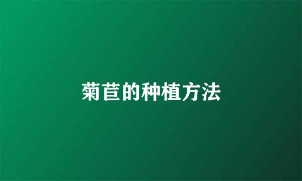 菊苣的种植方法