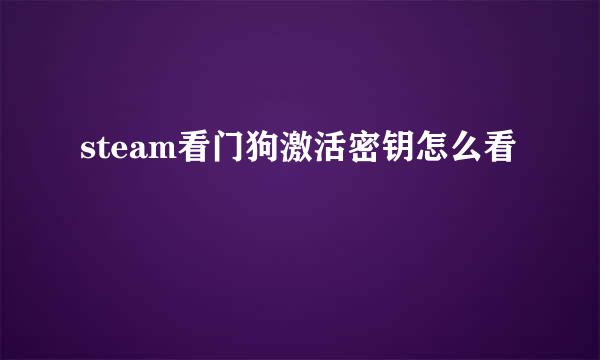 steam看门狗激活密钥怎么看