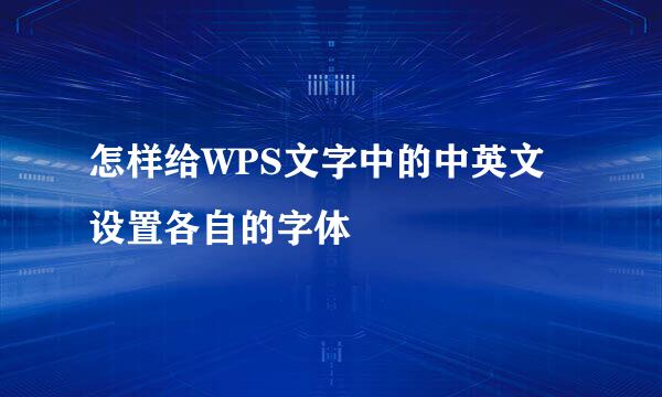 怎样给WPS文字中的中英文设置各自的字体