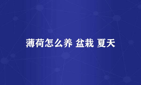 薄荷怎么养 盆栽 夏天