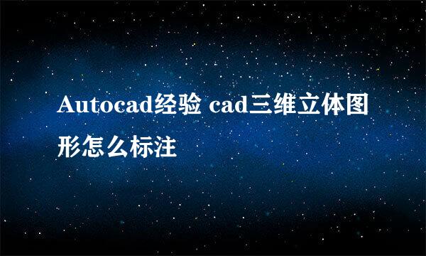 Autocad经验 cad三维立体图形怎么标注
