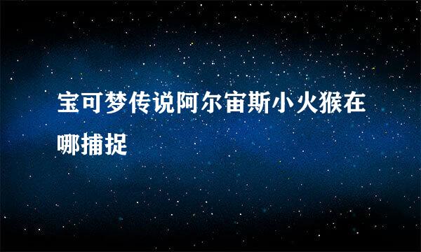 宝可梦传说阿尔宙斯小火猴在哪捕捉
