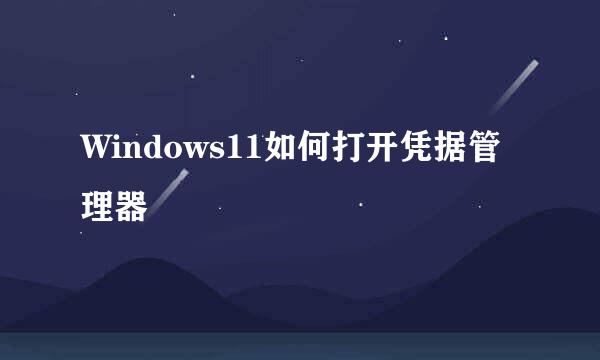 Windows11如何打开凭据管理器