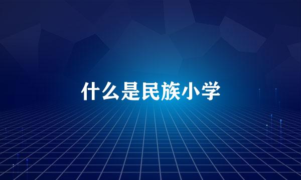 什么是民族小学