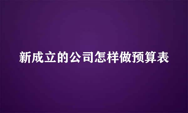 新成立的公司怎样做预算表