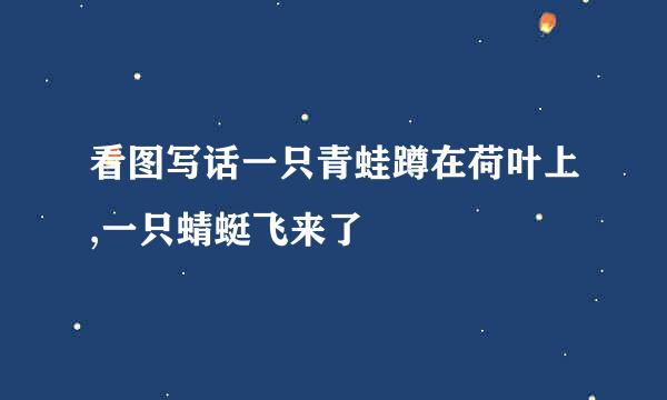 看图写话一只青蛙蹲在荷叶上,一只蜻蜓飞来了