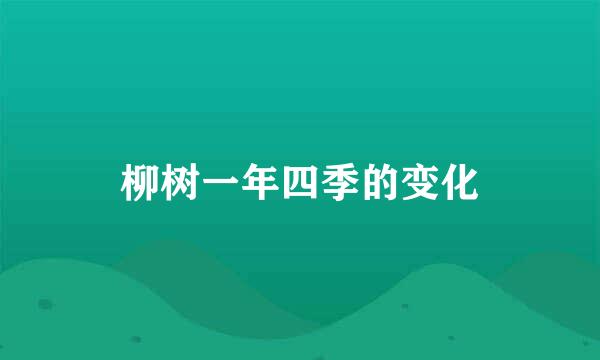 柳树一年四季的变化