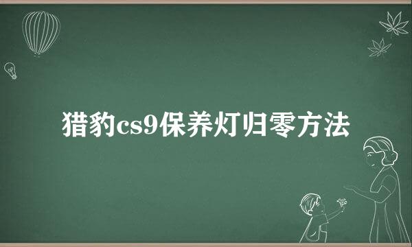 猎豹cs9保养灯归零方法