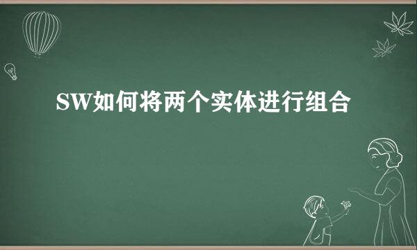 SW如何将两个实体进行组合