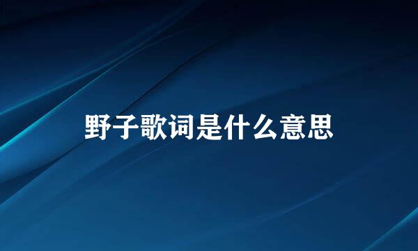 野子歌词是什么意思