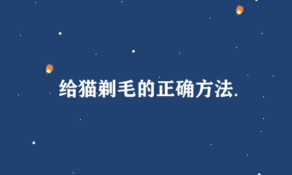 给猫剃毛的正确方法