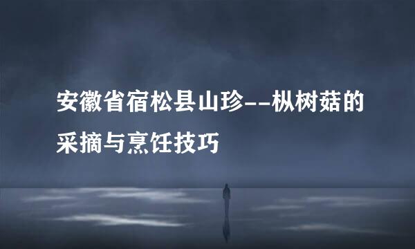 安徽省宿松县山珍--枞树菇的采摘与烹饪技巧