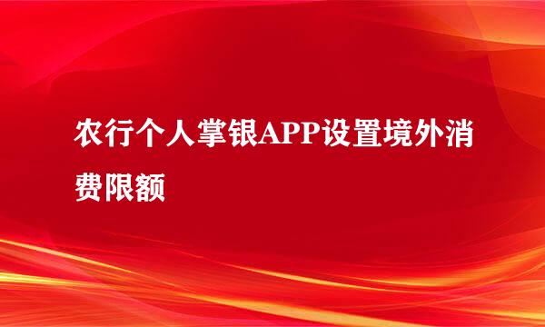 农行个人掌银APP设置境外消费限额