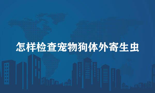 怎样检查宠物狗体外寄生虫