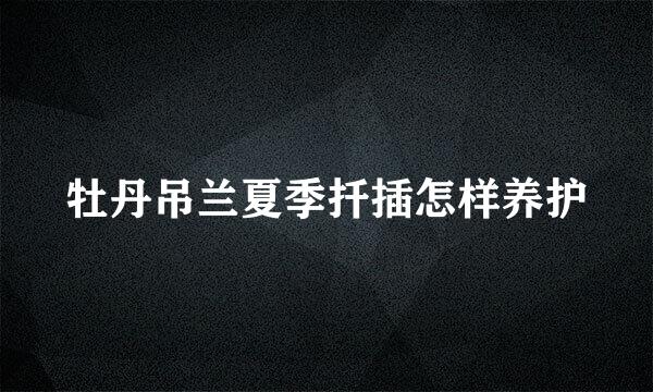 牡丹吊兰夏季扦插怎样养护