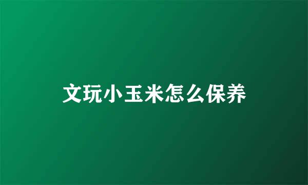文玩小玉米怎么保养