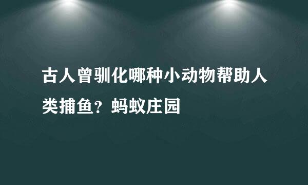 古人曾驯化哪种小动物帮助人类捕鱼？蚂蚁庄园