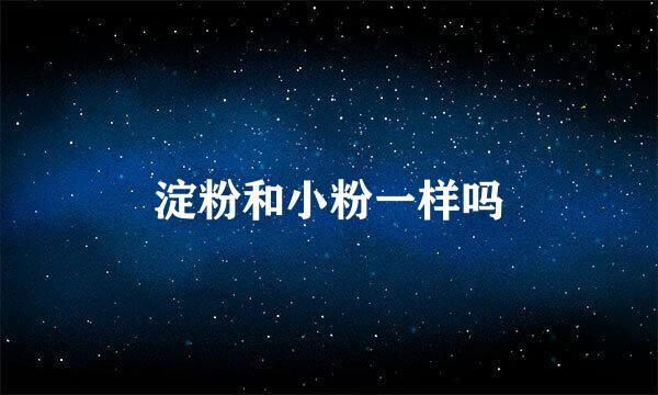 淀粉和小粉一样吗