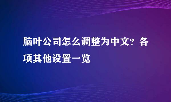 脑叶公司怎么调整为中文？各项其他设置一览
