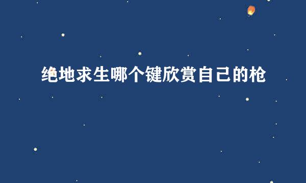 绝地求生哪个键欣赏自己的枪