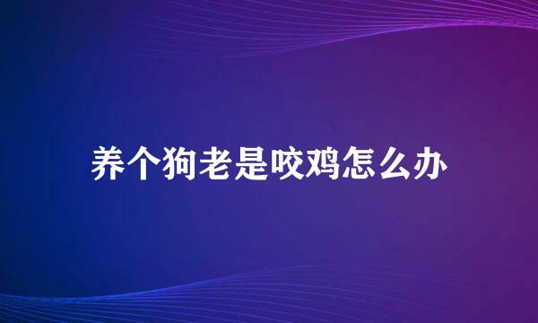 养个狗老是咬鸡怎么办
