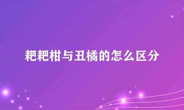 耙耙柑与丑橘的怎么区分