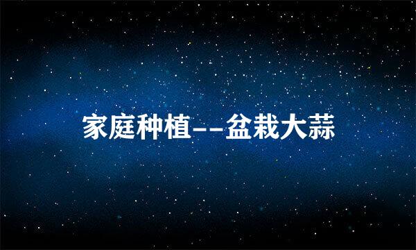 家庭种植--盆栽大蒜