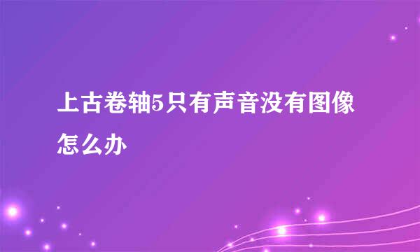 上古卷轴5只有声音没有图像怎么办