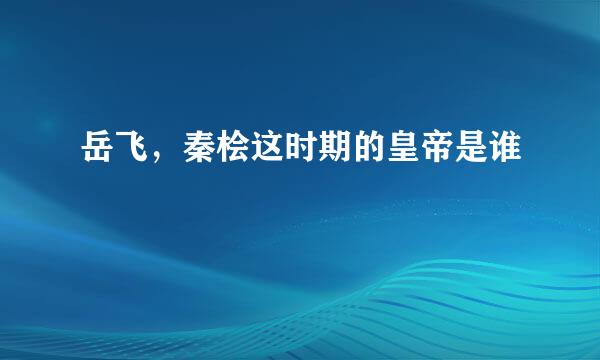 岳飞，秦桧这时期的皇帝是谁