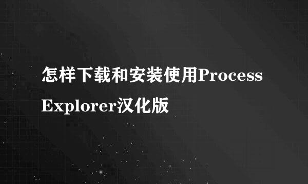 怎样下载和安装使用Process Explorer汉化版