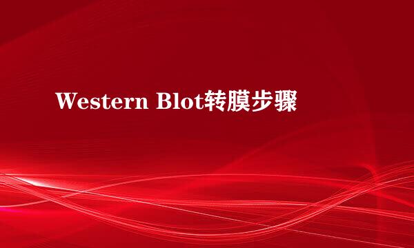 Western Blot转膜步骤