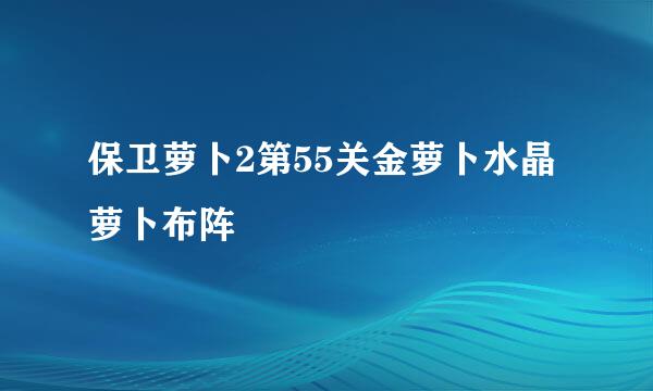 保卫萝卜2第55关金萝卜水晶萝卜布阵