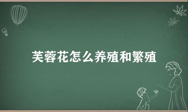 芙蓉花怎么养殖和繁殖