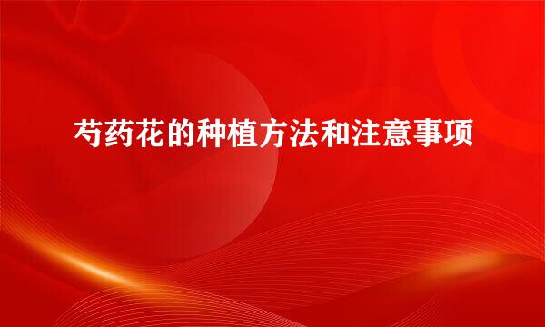 芍药花的种植方法和注意事项