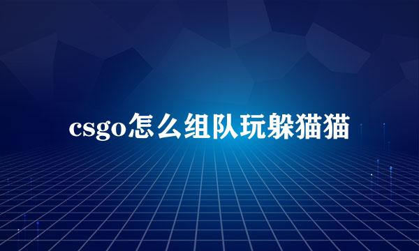 csgo怎么组队玩躲猫猫