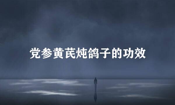 党参黄芪炖鸽子的功效