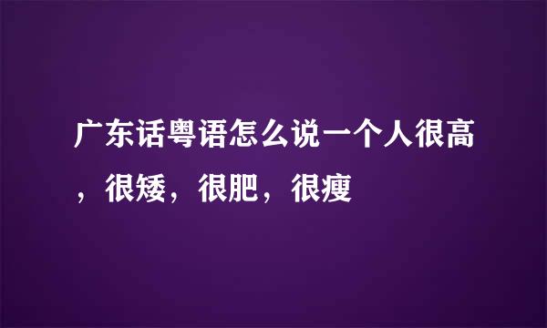 广东话粤语怎么说一个人很高，很矮，很肥，很瘦