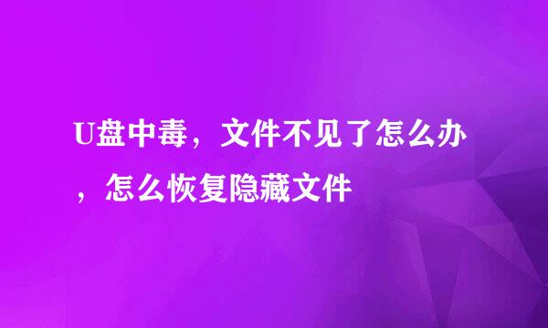 U盘中毒，文件不见了怎么办，怎么恢复隐藏文件